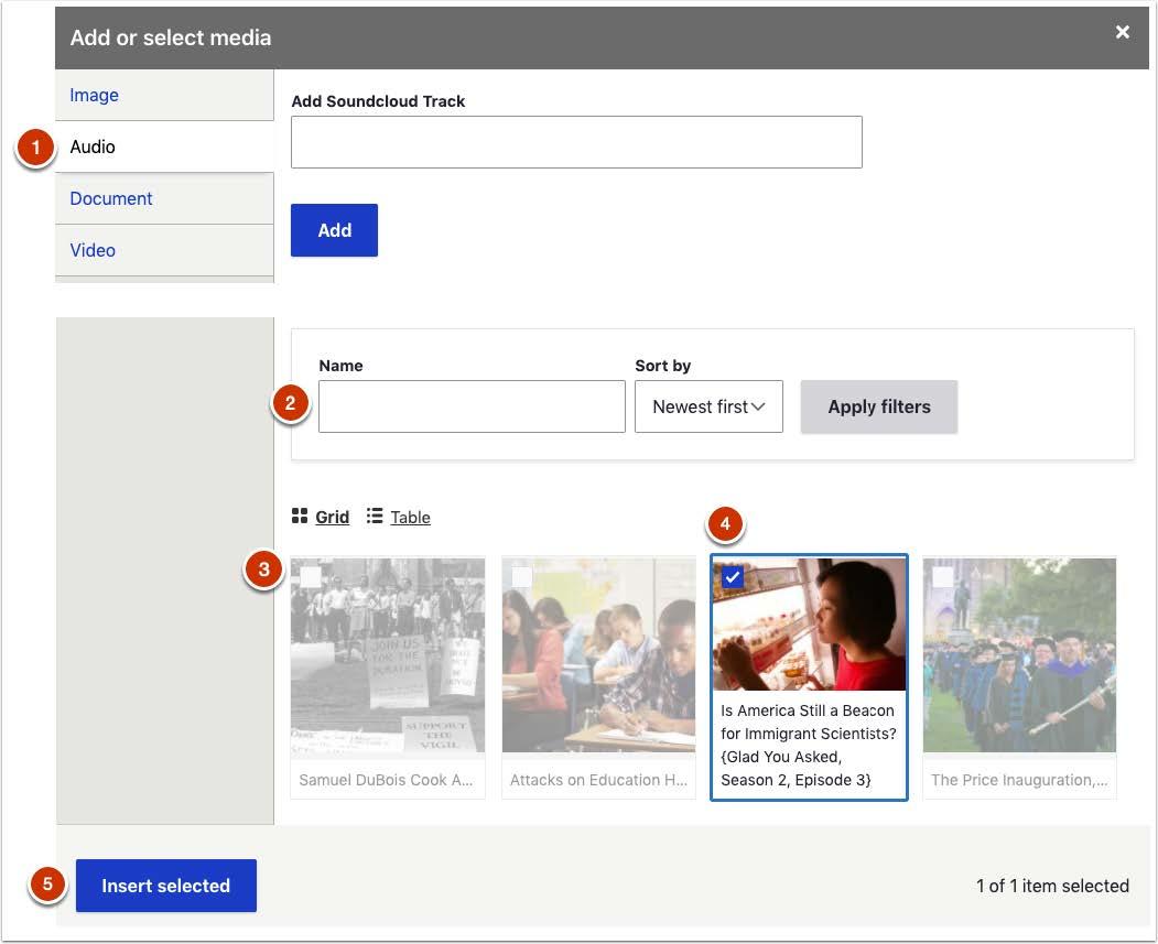 Screenshot of fields for adding audio from the media library via a content editor