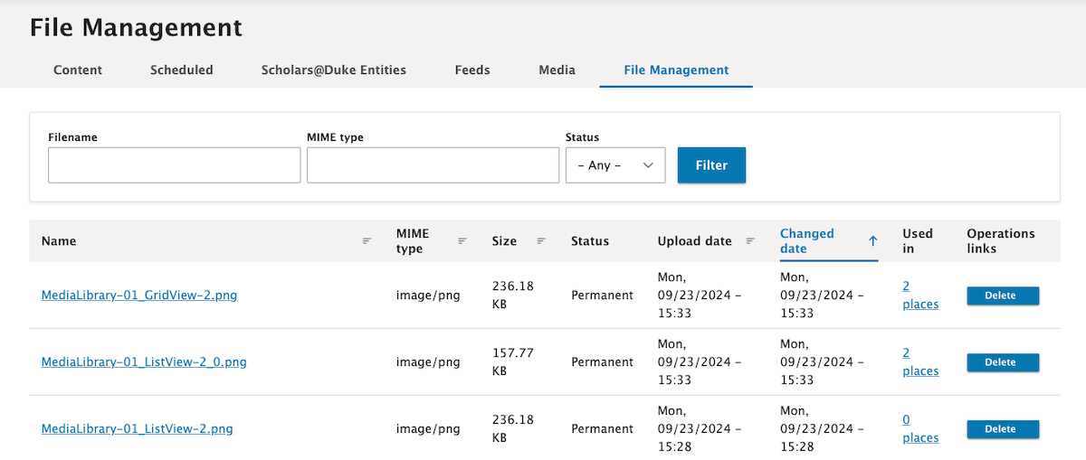 Screenshot of File Management interface